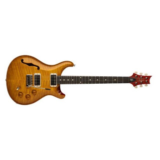 DGT Semi-Hollow DGT Semi-Hollow