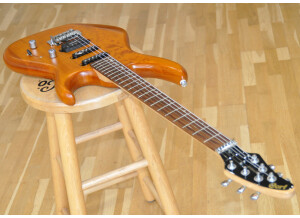 Stellar S2550 (2)
