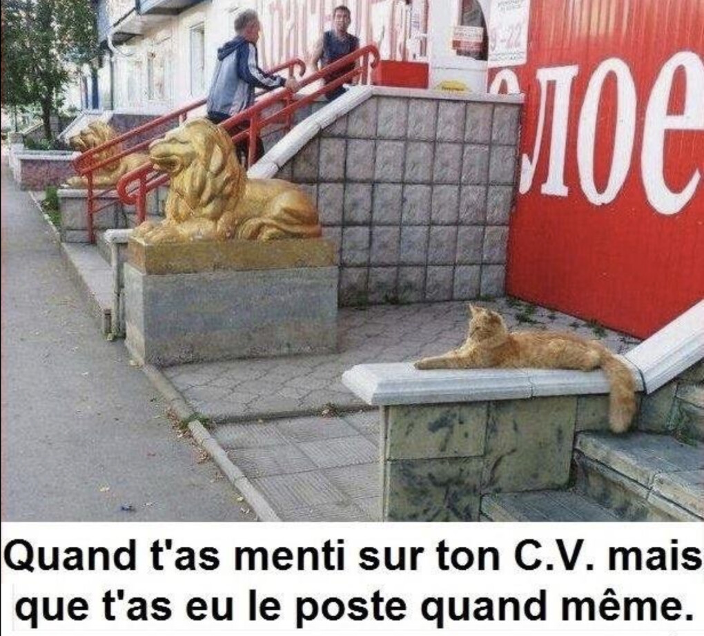 6219920.png 6219920.png