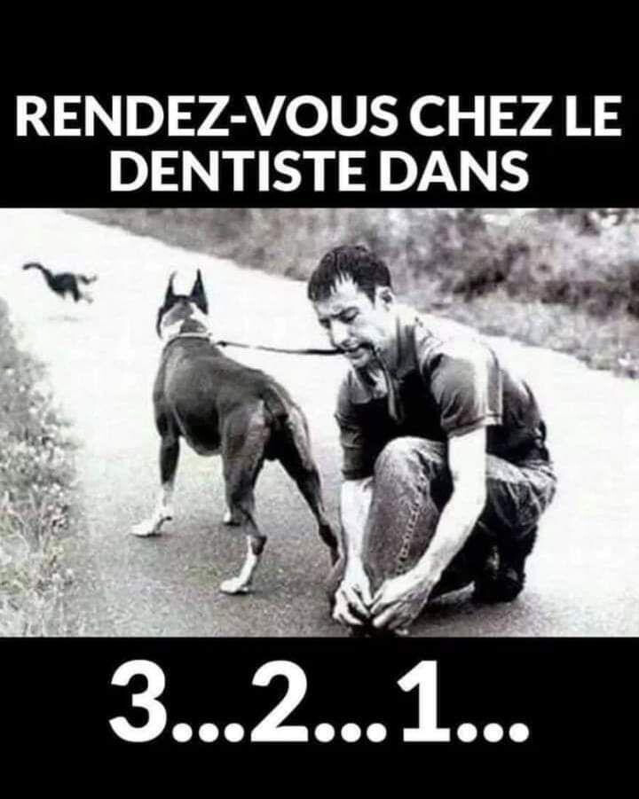 6220481.jpeg 6220481.jpeg