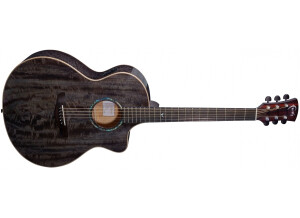 FXNCE-MD - FX Neptune