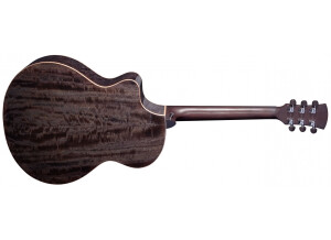 FXNCE-MD - FX NeptuneBACK