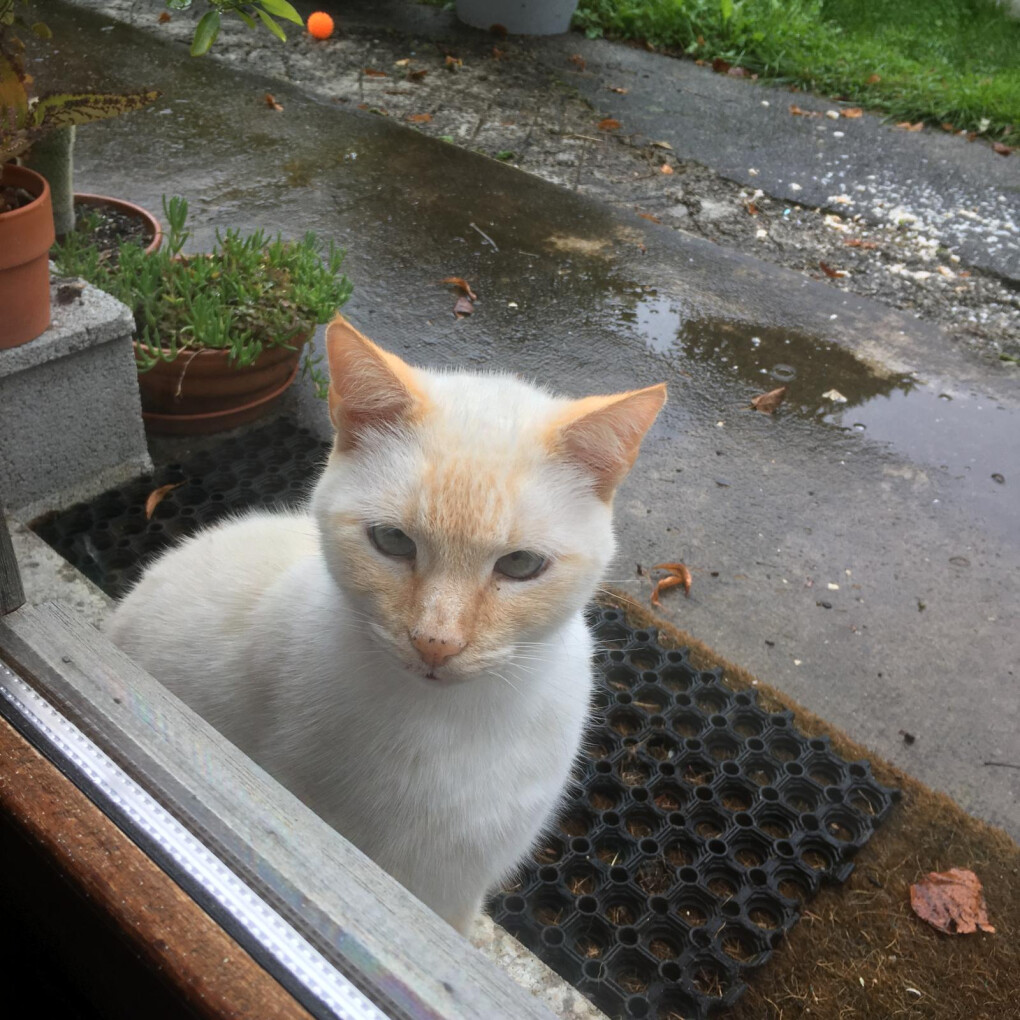 6220574.jpeg 6220574.jpeg