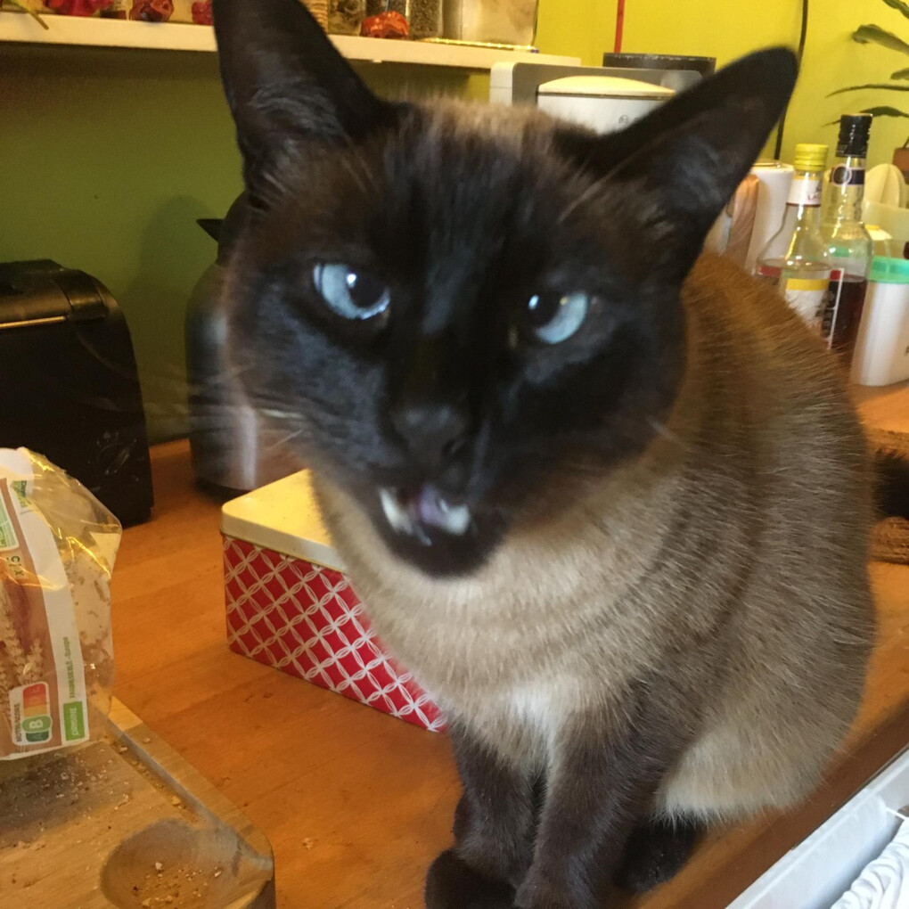 6220575.jpeg 6220575.jpeg