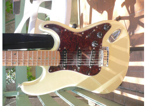 Fender Lite Ash Stratocaster