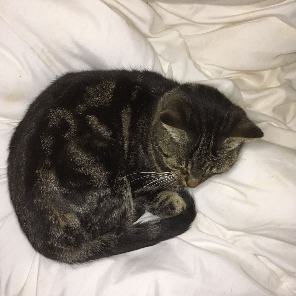 6222154.jpg 6222154.jpg