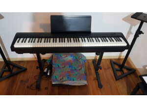 Roland FP-30X (60463)