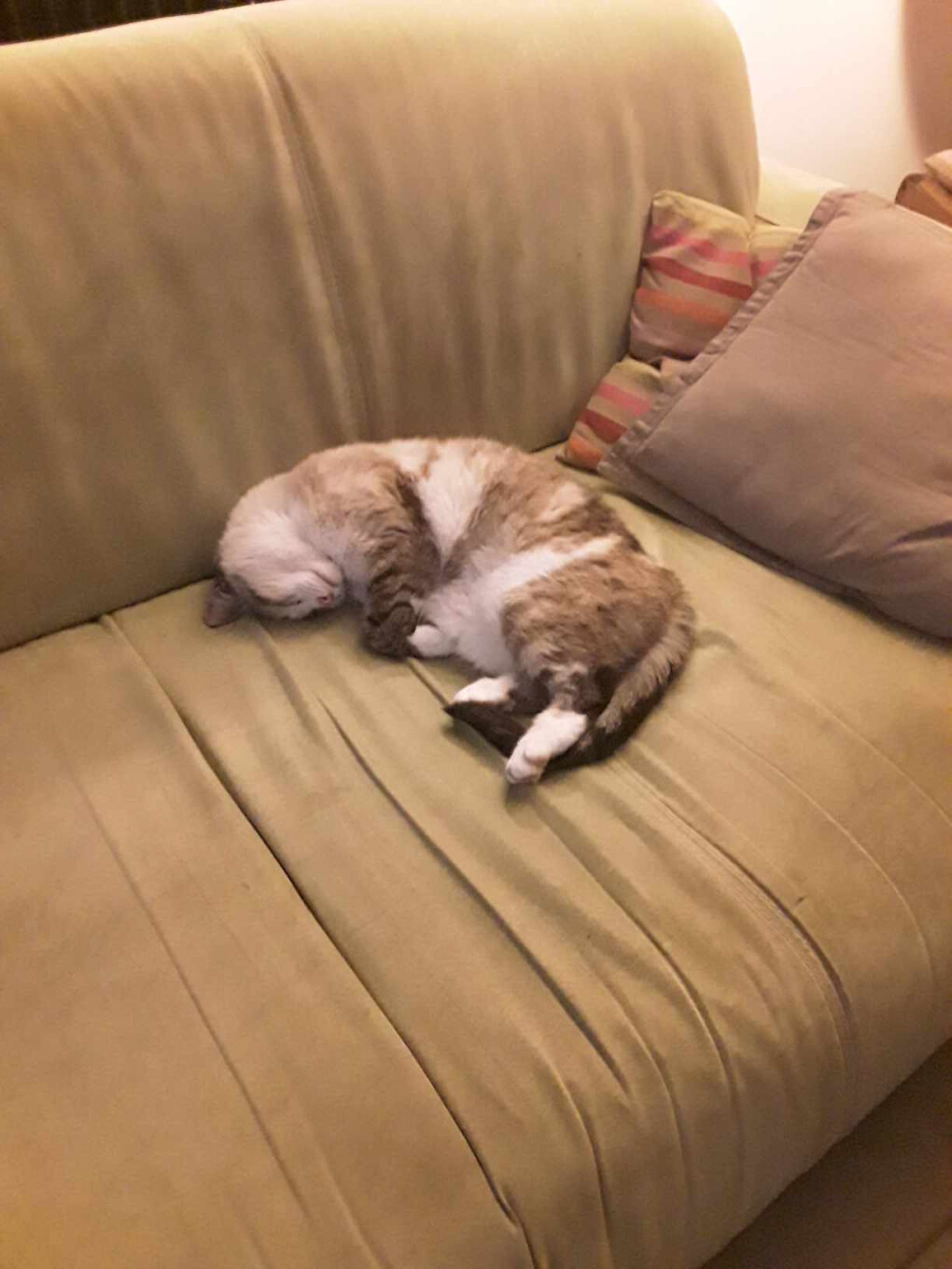 6222314.jpeg 6222314.jpeg