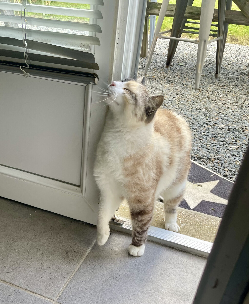 6225455.jpeg 6225455.jpeg