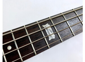 Gibson Thunderbird IV (14590)