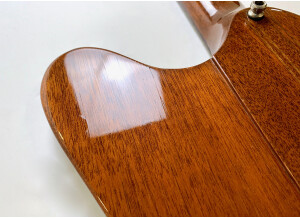 Gibson Thunderbird IV (62221)