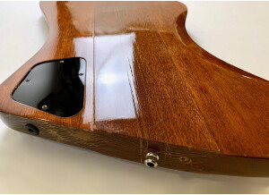 Gibson Thunderbird IV (308)