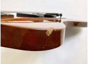 Gibson Thunderbird IV (44657)