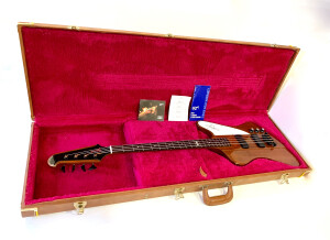 Gibson Thunderbird IV (29939)