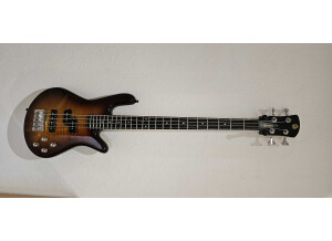 spector-legend-standard-4553390@2x