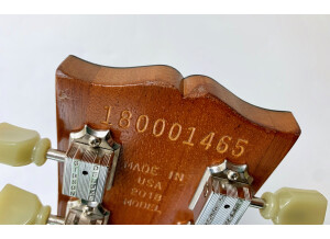 Gibson Les Paul Tribute (2018) (65119)