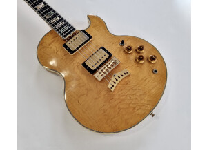 Gibson L5-S (54540)