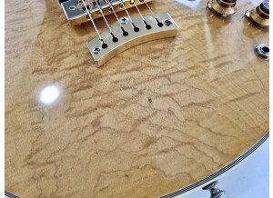 Gibson L5-S (42833)