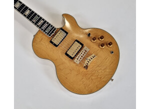 Gibson L5-S (85732)