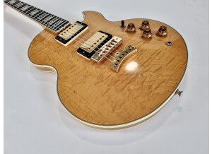 Gibson L5-S (28495)