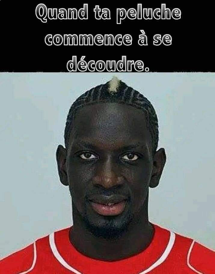 6228312.jpg 6228312.jpg