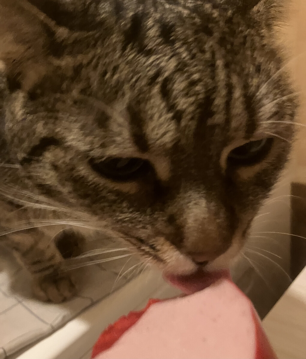 6228397.jpeg 6228397.jpeg