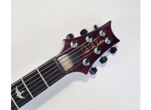 PRS Custom 22 Birds (93482)