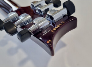 PRS Custom 22 Birds (6668)