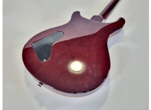 PRS Custom 22 Birds (71037)