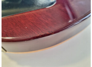 PRS Custom 22 Birds (5004)