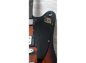 Gibson Firebird Studio 2017 T (24477)