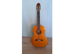 GUITARE CS40