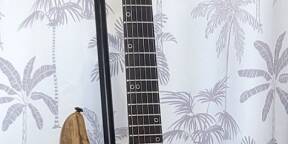 SCHECTER SUN VALLEY  SS EXOTIC Black Limba Guitare