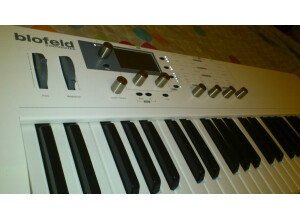 Waldorf Blofeld Keyboard (6625)