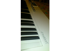 Waldorf Blofeld Keyboard (18124)