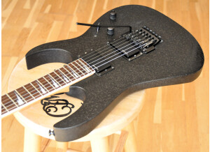 Ibanez RGR320EX (77632)