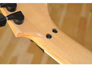 Ibanez RGR320EX (6831)