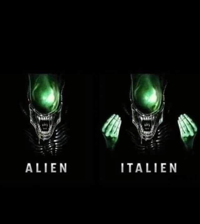 6236441.jpeg 6236441.jpeg