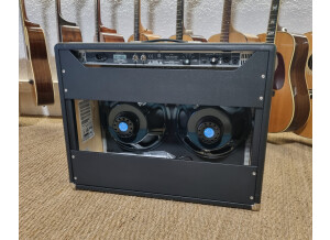 Fender Tone Master Twin Reverb (99677)