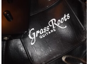 Grass Roots GMX-48 James Hetfield 95' (86276)
