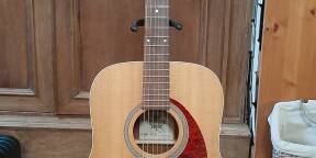 Vends guitare acoustique Norman B20