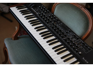 Dave Smith Instruments Prophet ?08 Pot Edition (84999)