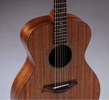 Taylor Jacob Collier Signature Model 6-String : Jacob Collier Signature Model 6-String2