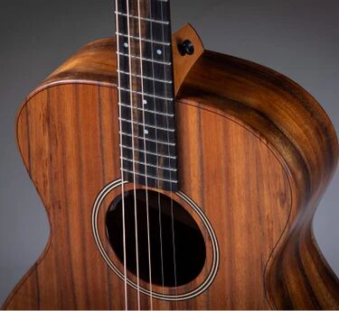 Taylor Jacob Collier Signature Model 5-String : Jacob Collier Signature Model 5-String