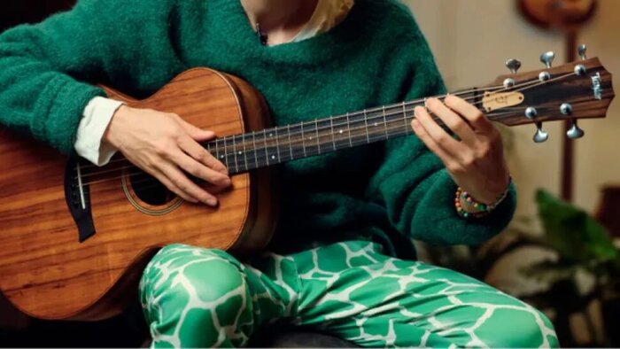 Taylor Jacob Collier Signature Model 5-String : Jacob Collier Signature Model Lifestyle Taylor Jacob Collier Signature Model 5-String : Jacob Collier Signature Model Lifestyle