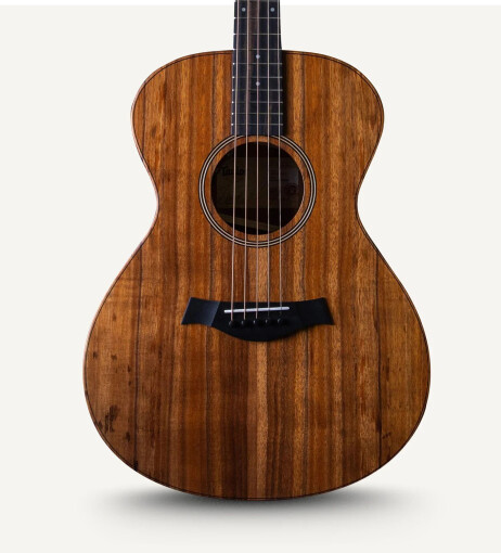 Taylor Jacob Collier Signature Model 5-String : Jacob Collier Signature Model Taylor Jacob Collier Signature Model 5-String : Jacob Collier Signature Model