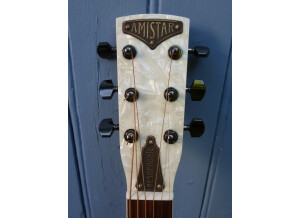 Amistar National Tricone