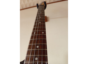 Cort G210 (8825)