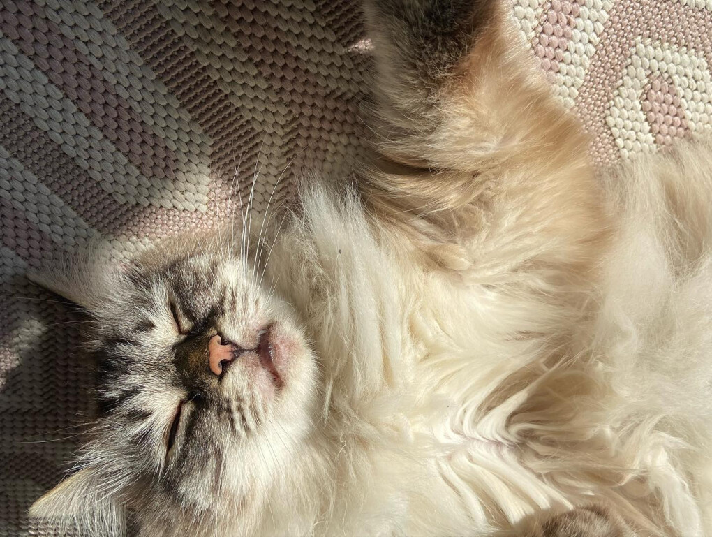 6242054.jpg 6242054.jpg