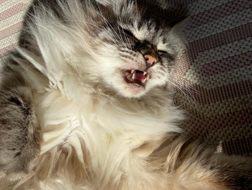 6242055.jpg 6242055.jpg